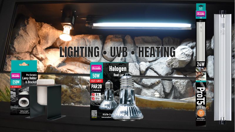Lighting, UVB, and Heating