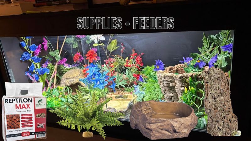 Reptile Supplies